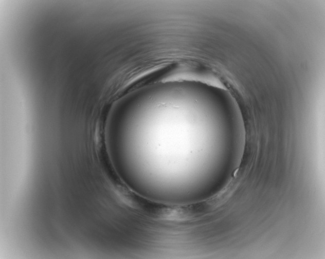 X0000116160074200911301611