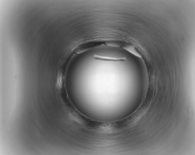 X0000116160076200911301611