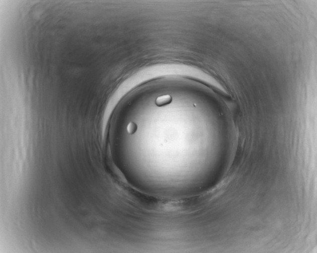 X0000116160078200911301611