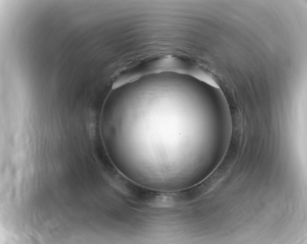 X0000116160080200911301611