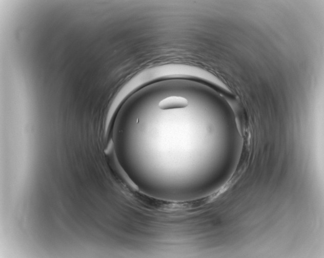 X0000116160082200911301611