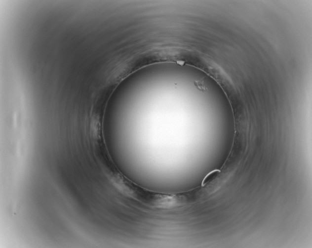 X0000116160083200911301611