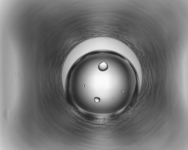 X0000116160084200911301611