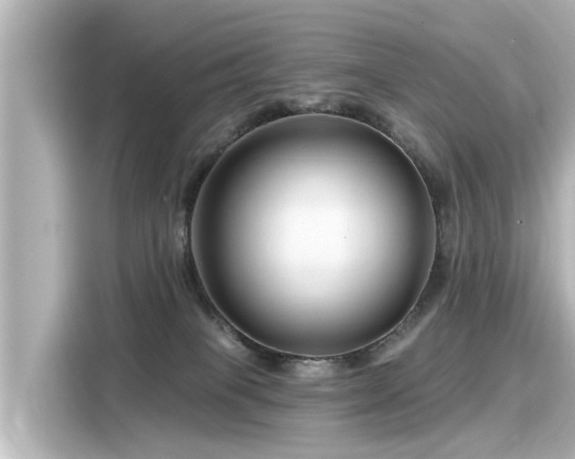 X0000116160085200911301611