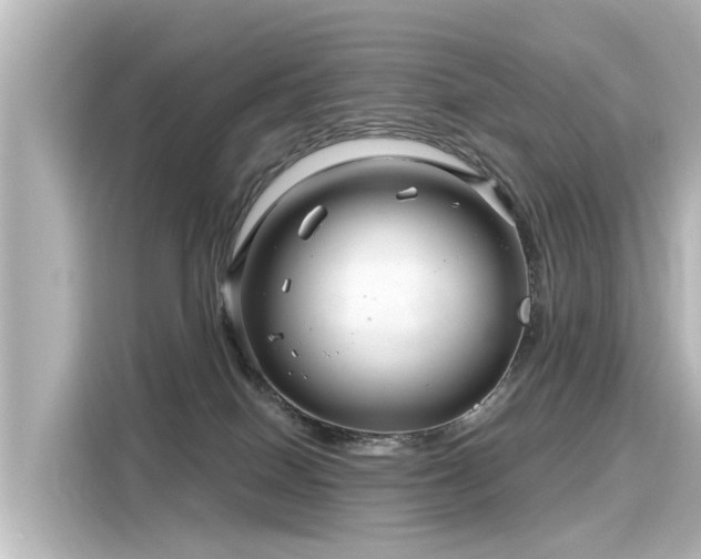 X0000116160086200911301611