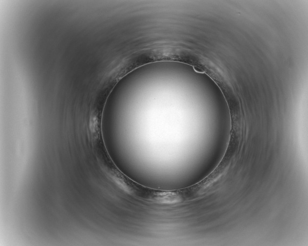 X0000116160087200911301611