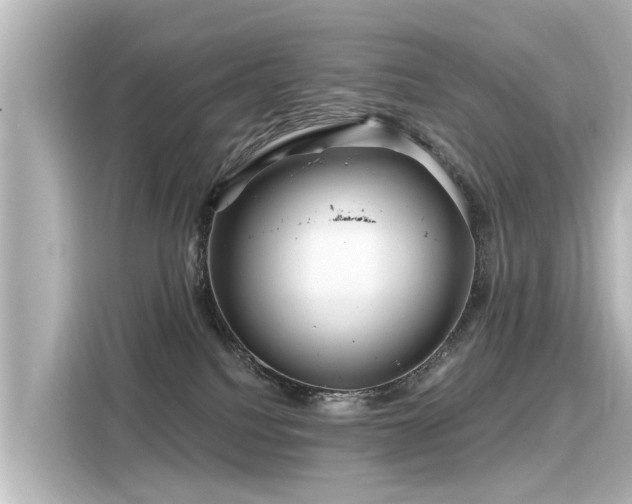 X0000116160088200911301611