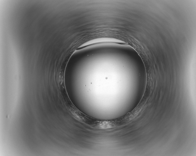 X0000116160091200911301611