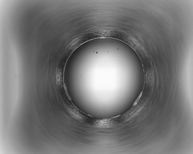 X0000116160092200911301611