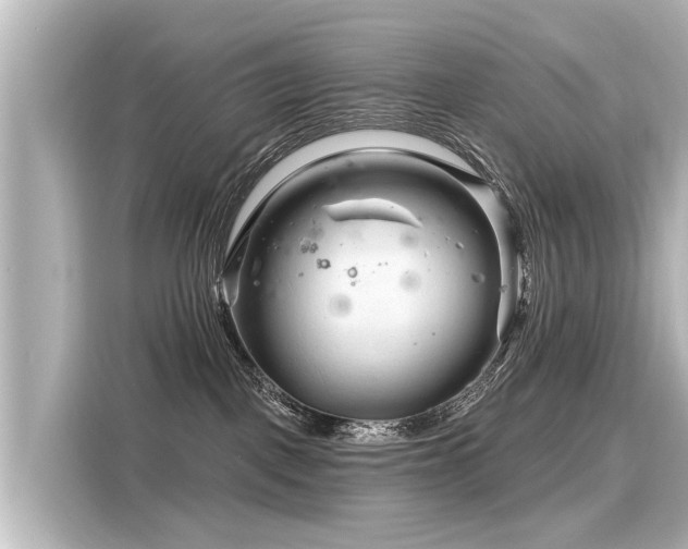 X0000116160093200911301611