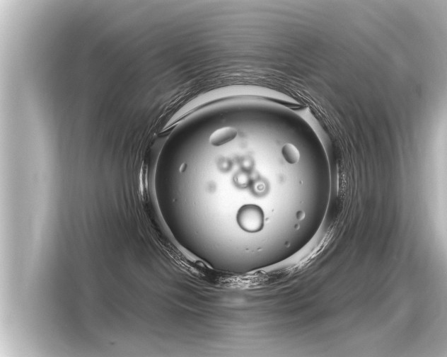 X0000116160094200911301611