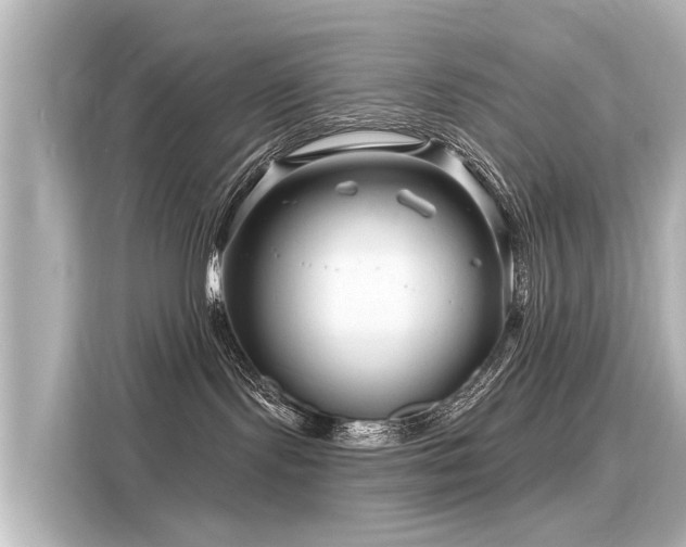 X0000116160095200911301611