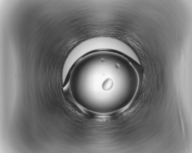 X0000116160096200911301611