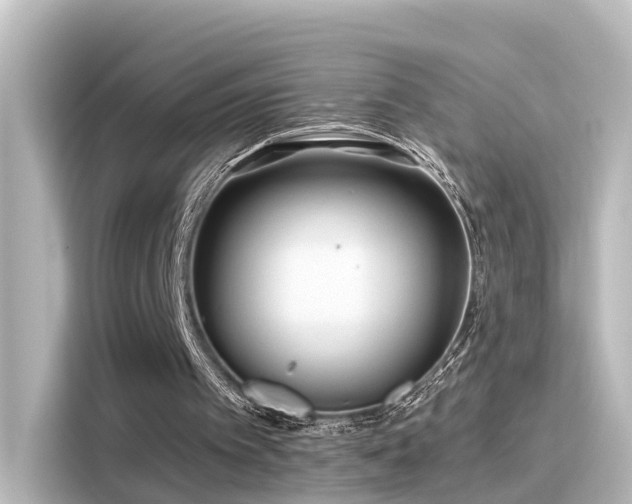 X0000116160097200911301610