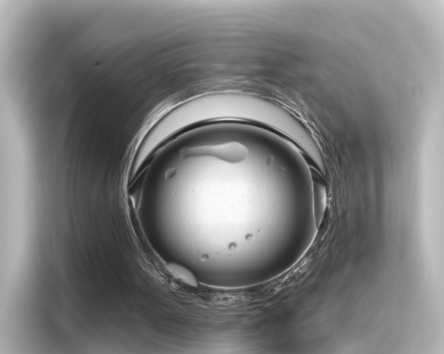 X0000116160099200911301610