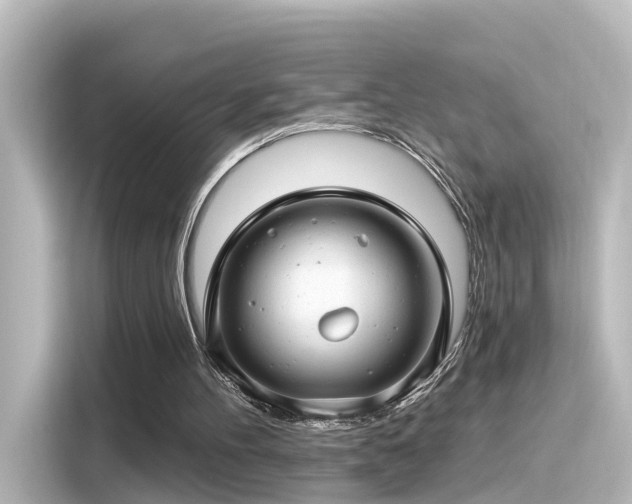 X0000116160100200911301610