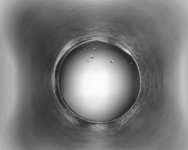 X0000116160102200911301610