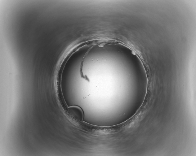 X0000116160103200911301610