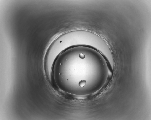 X0000116160104200911301610