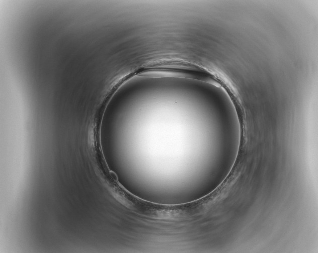 X0000116160105200911301610