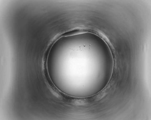 X0000116160106200911301610