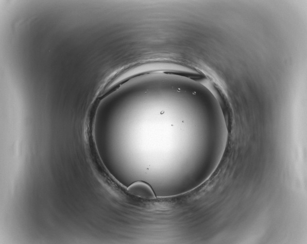 X0000116160107200911301610