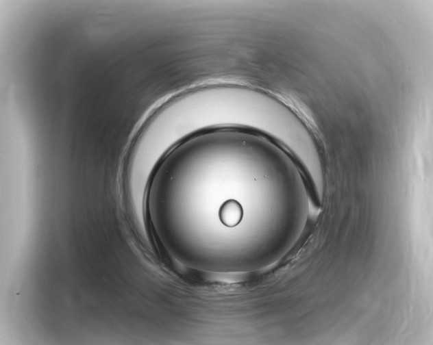 X0000116160108200911301610