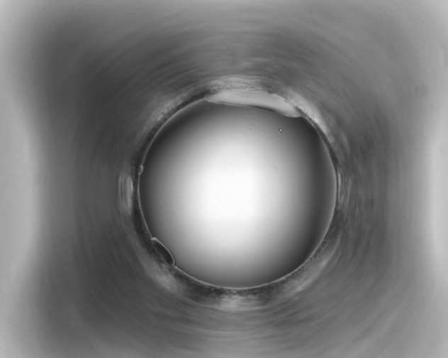 X0000116160109200911301610