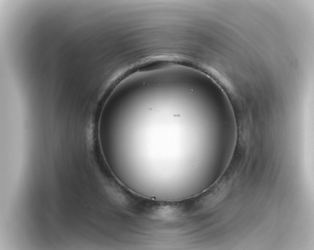 X0000116160111200911301610