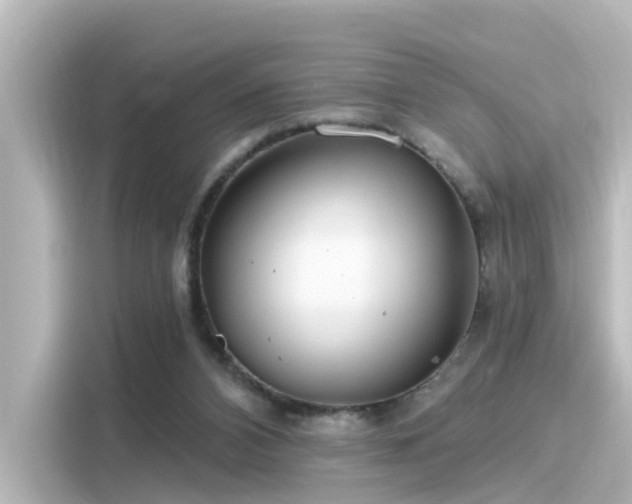 X0000116160112200911301610