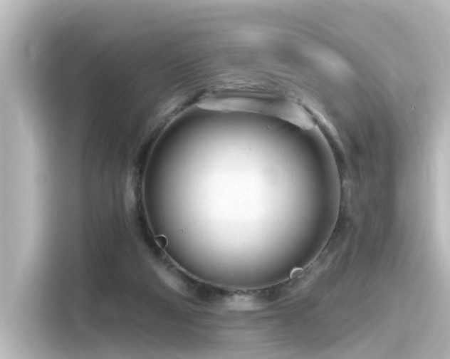 X0000116160114200911301610