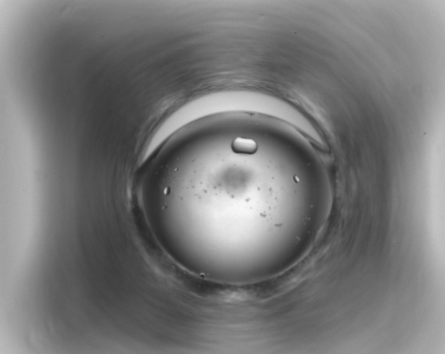 X0000116160115200911301610