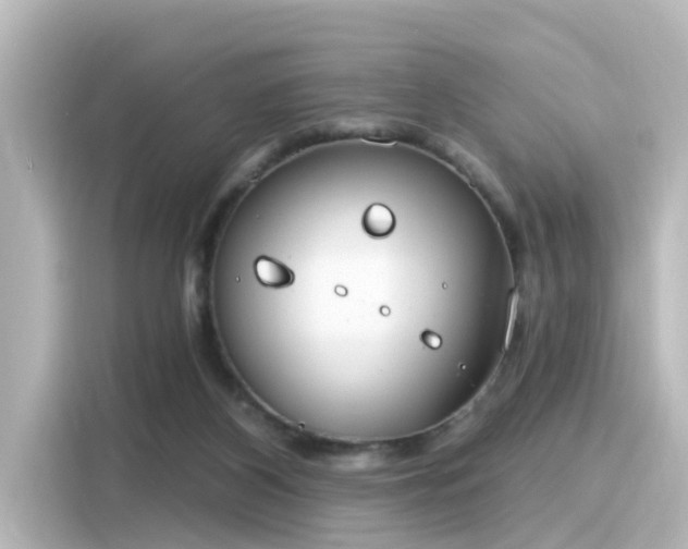 X0000116160116200911301610