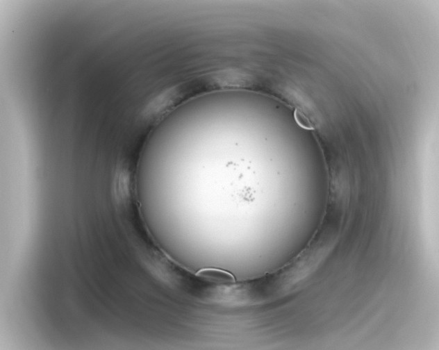 X0000116160117200911301610