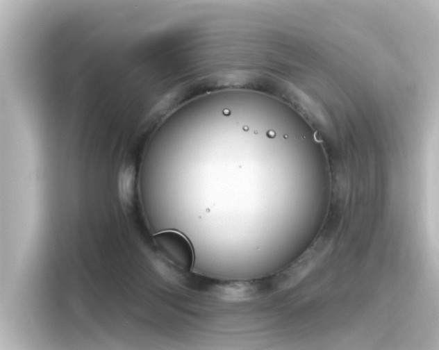 X0000116160118200911301610