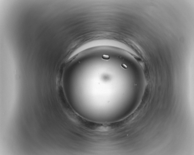 X0000116160119200911301610