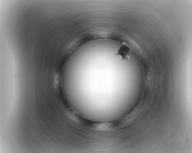 X0000116160122200911301610