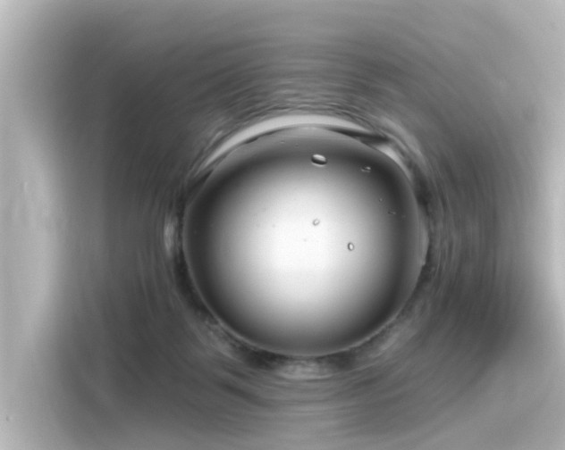 X0000116160123200911301610