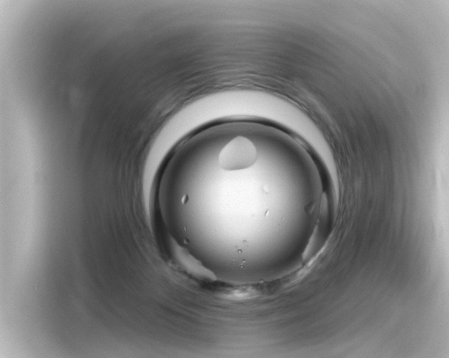 X0000116160124200911301610