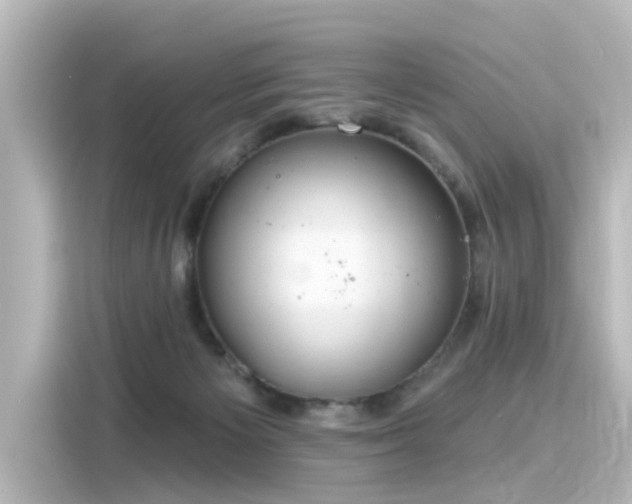 X0000116160125200911301610