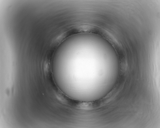 X0000116160126200911301610