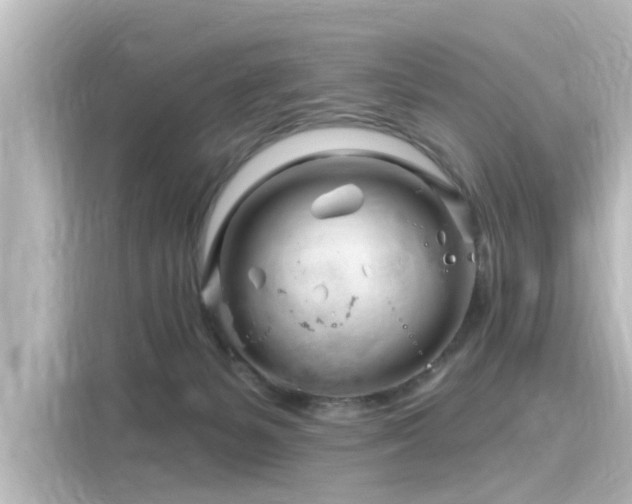 X0000116160127200911301610