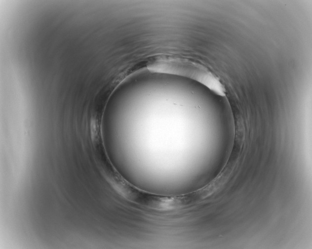 X0000116160130200911301610