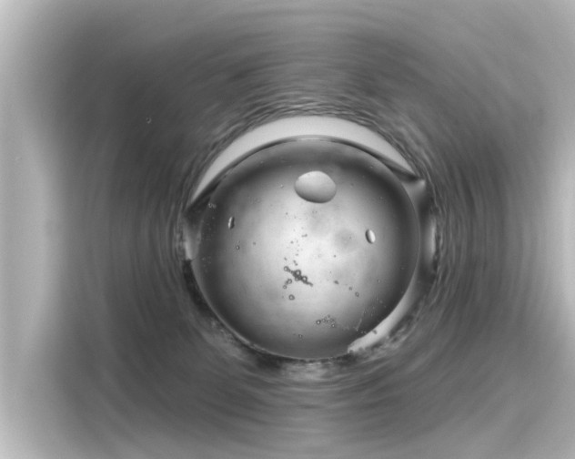 X0000116160131200911301610