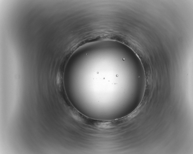 X0000116160132200911301610