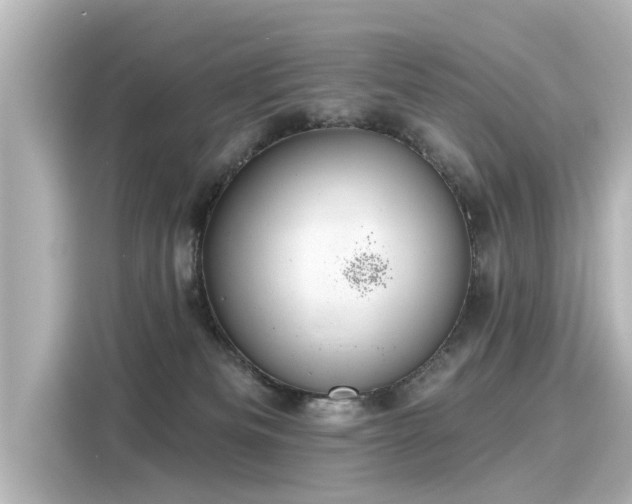 X0000116160133200911301610