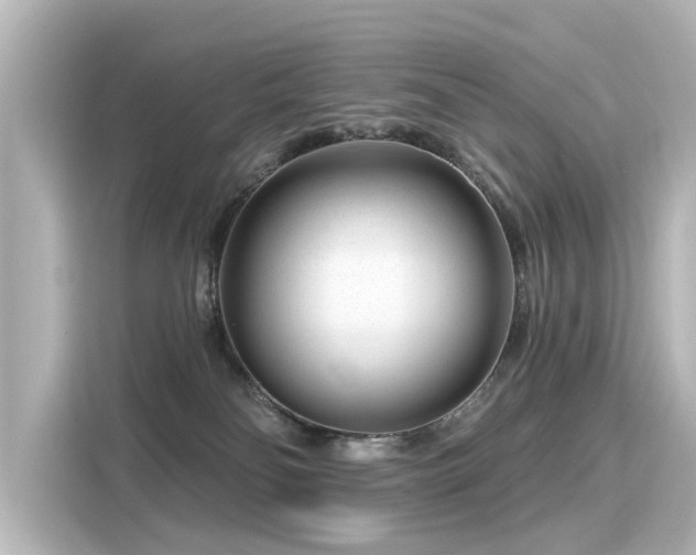 X0000116160134200911301610