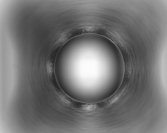 X0000116160135200911301610