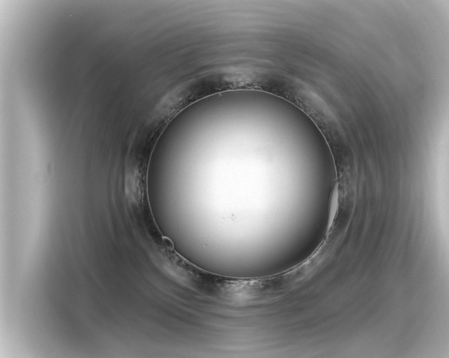 X0000116160136200911301610