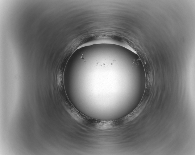 X0000116160138200911301610